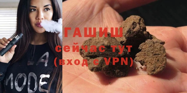 шишки Верея