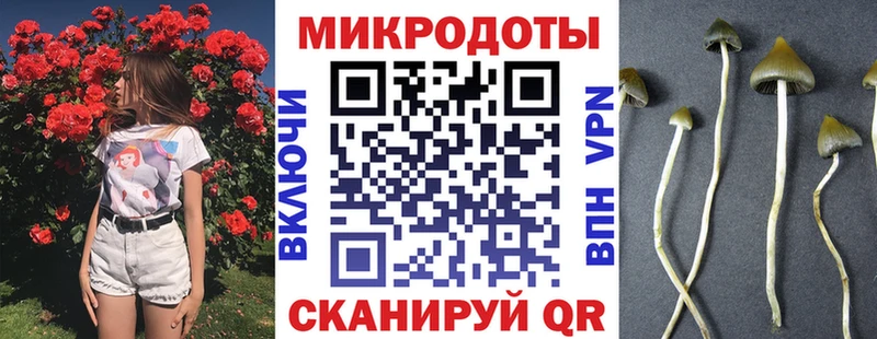 Галлюциногенные грибы мицелий  даркнет клад  Нальчик 
